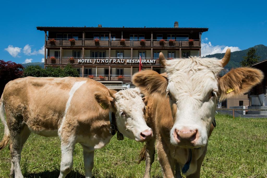 Jungfrau Hotel Вильдерсвиль Экстерьер фото